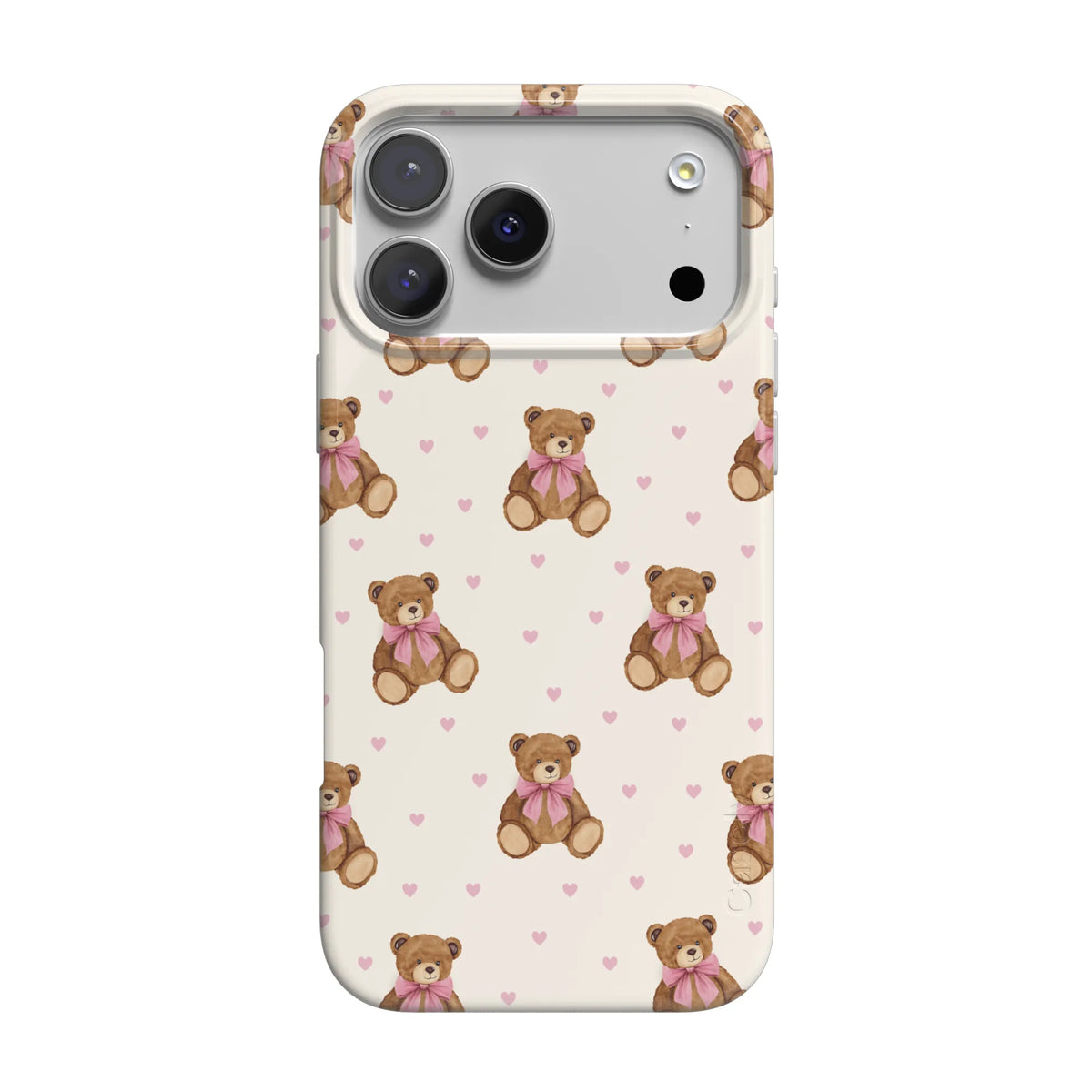 Cuddle Up | Teddy Bear Case