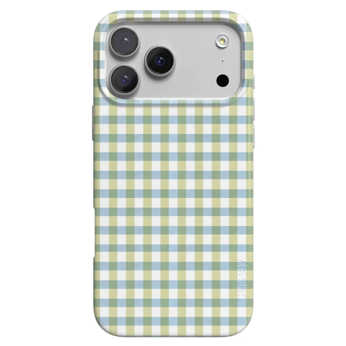 Pastel Picnic | Blue & Green Gingham Case
