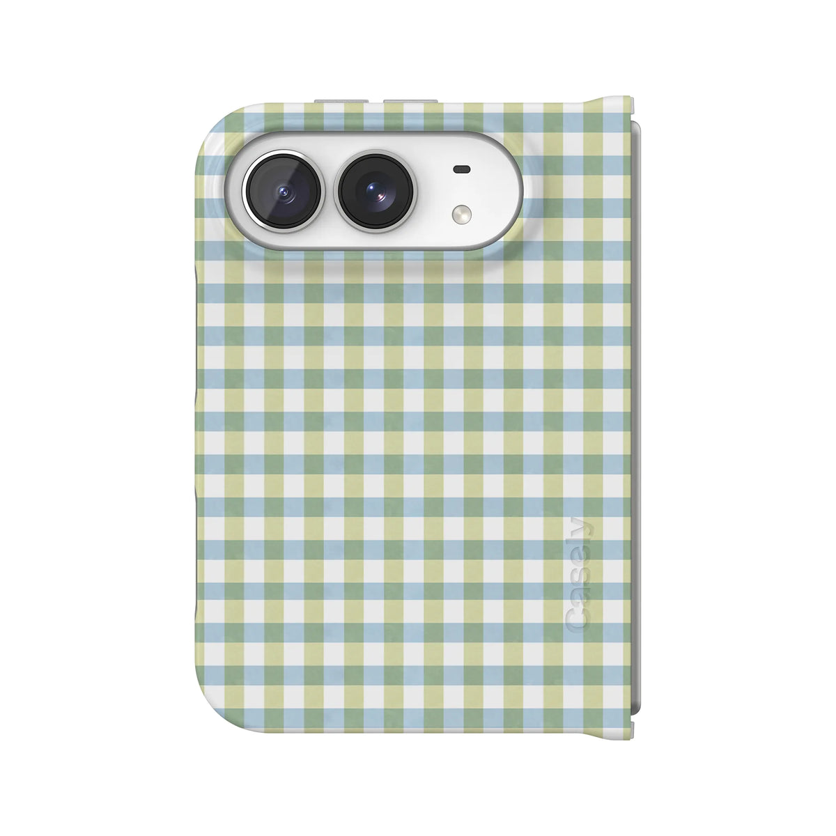 Pastel Picnic | Blue & Green Gingham Case