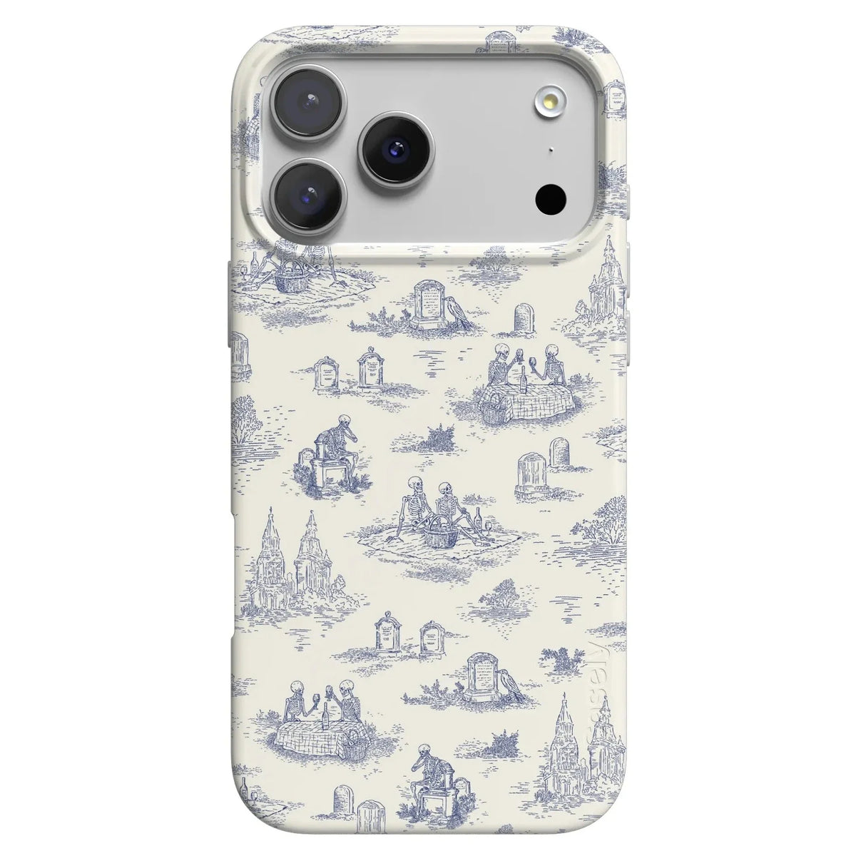 Graveyard Gathering | Skeleton Picnic Case