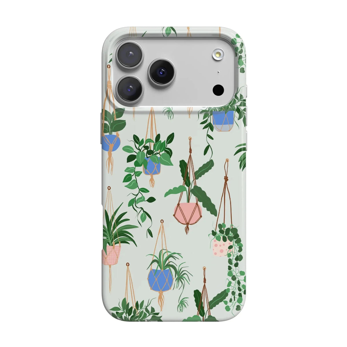 Hanging Around | Potted Plants Floral Case