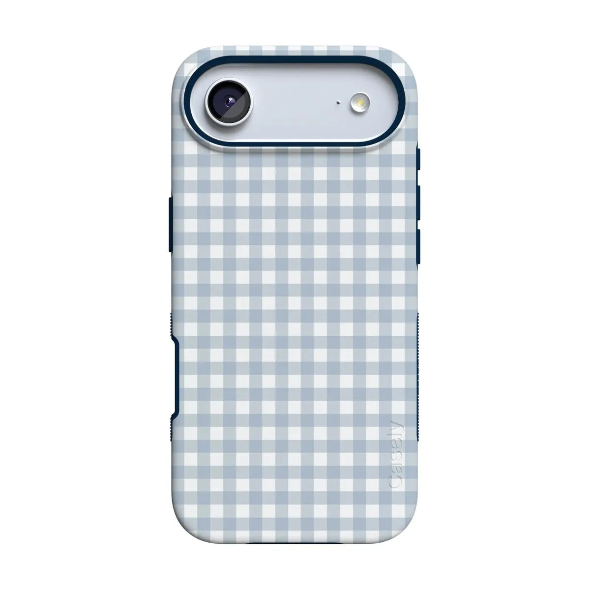 Pastel Picnic | Blue Gingham Case