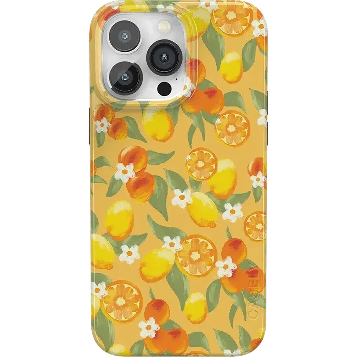 Positano | Dippin' Daisy's Italian Coast Case