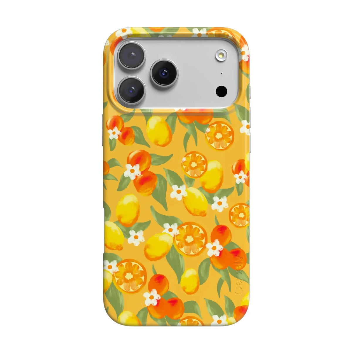 Positano | Dippin' Daisy's Italian Coast Case