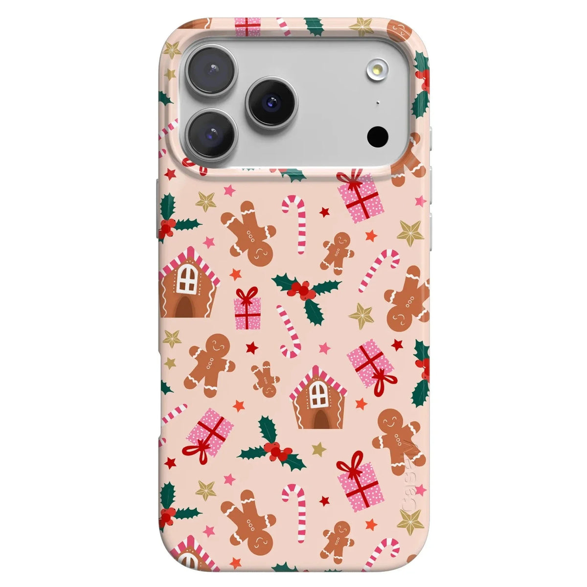 Frosted Wishes | Sweet Treat Case