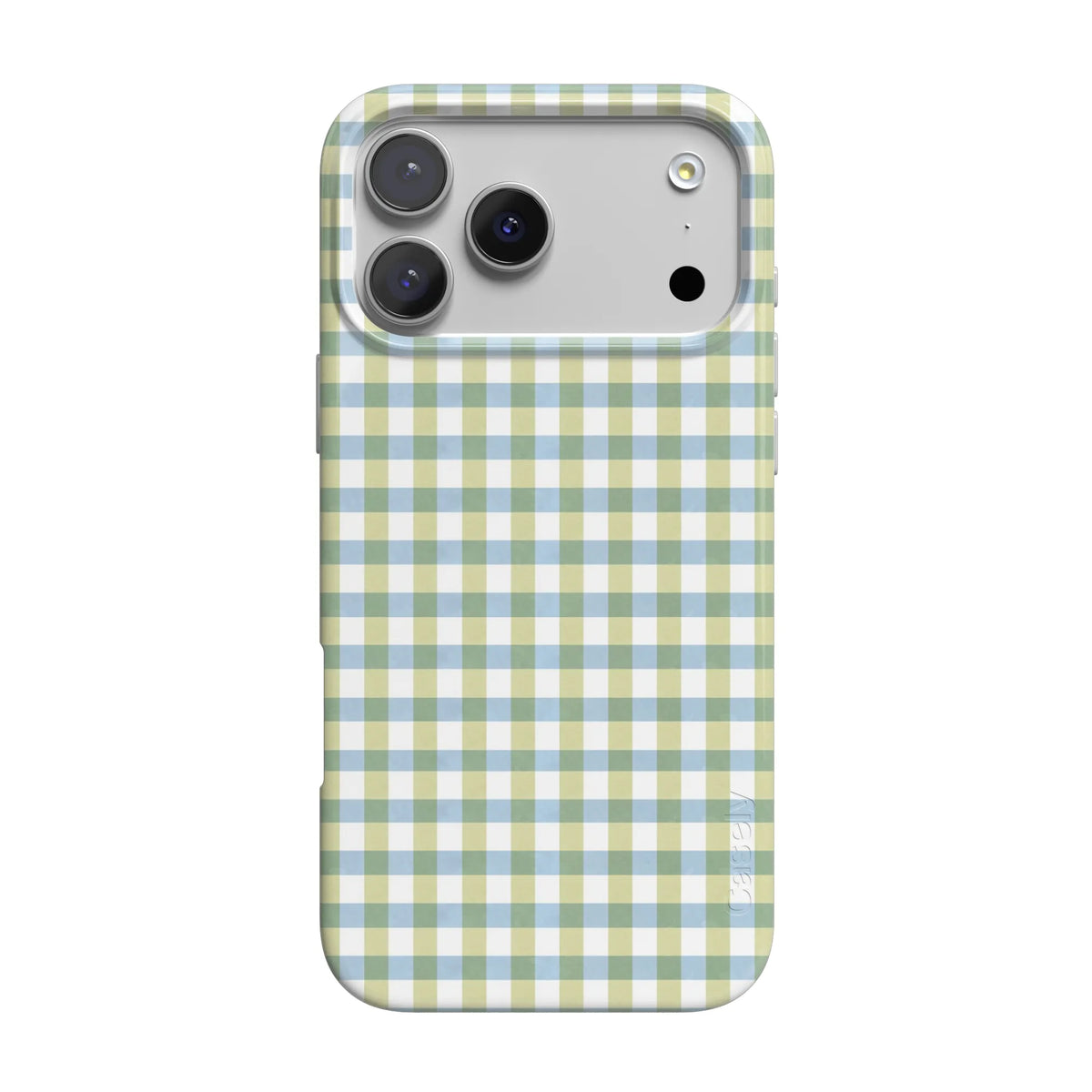 Pastel Picnic | Blue & Green Gingham Case