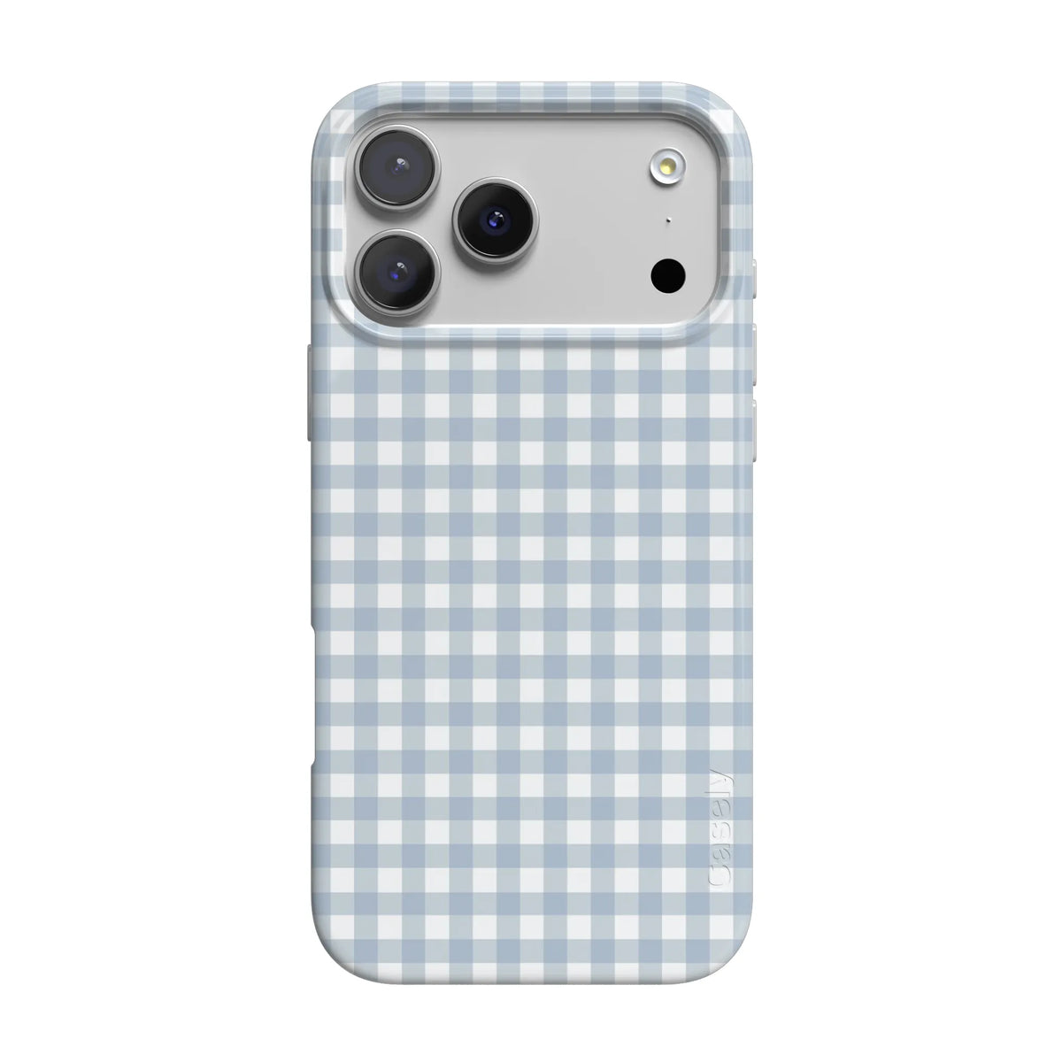 Pastel Picnic | Blue Gingham Case