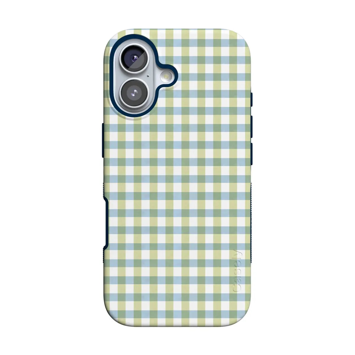 Pastel Picnic | Blue & Green Gingham Case