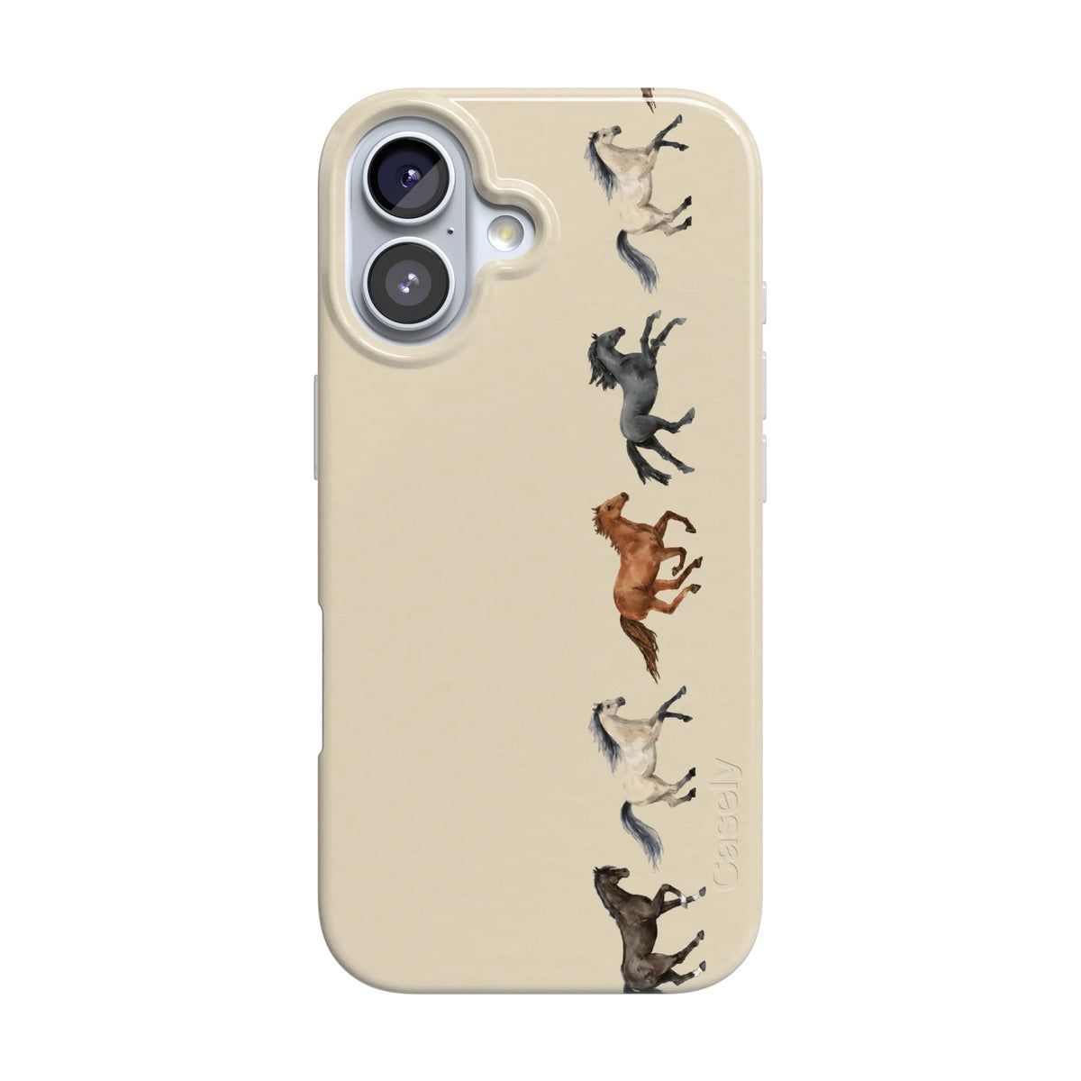 Stallion Stampede | Wild Horses Case