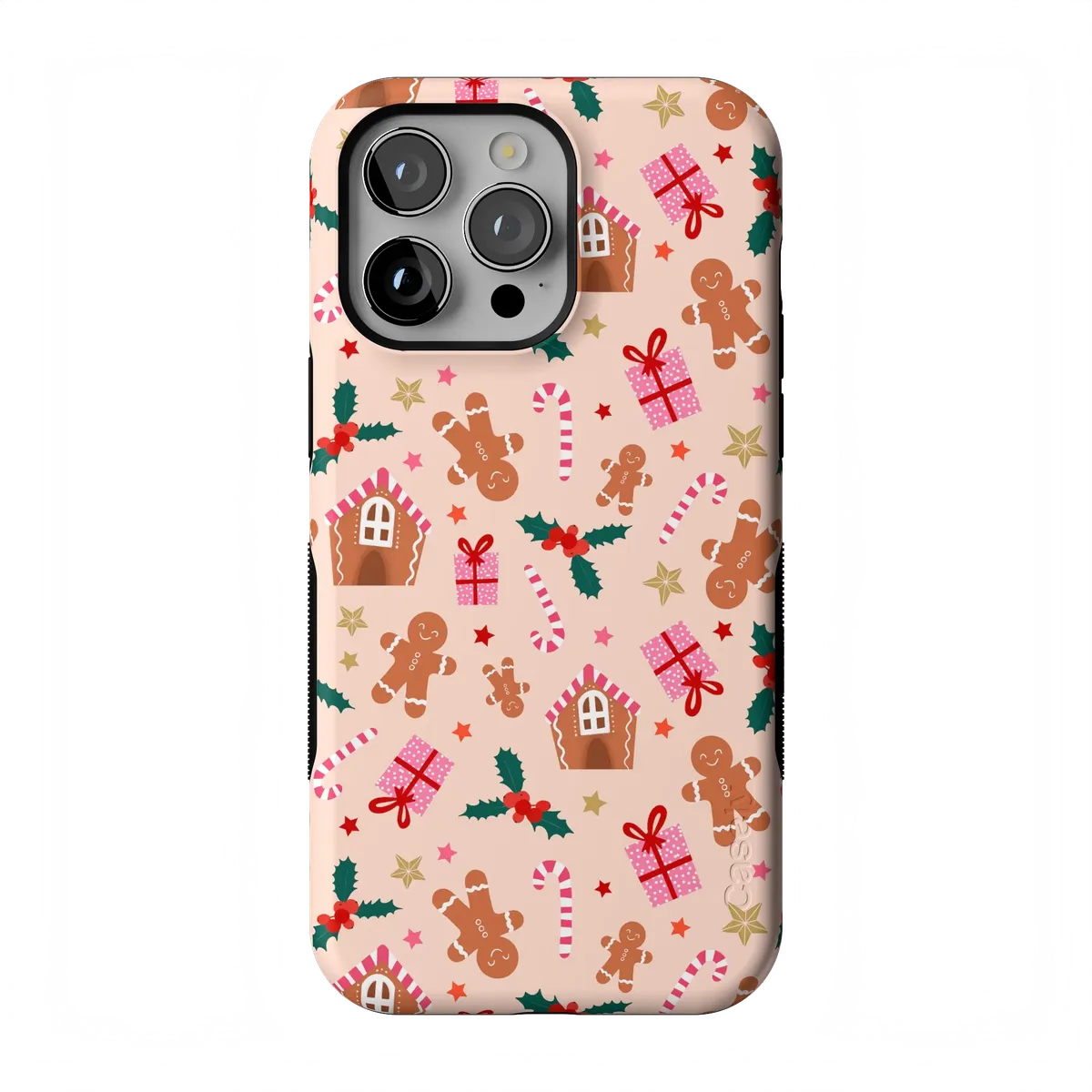 Frosted Wishes | Sweet Treat Case
